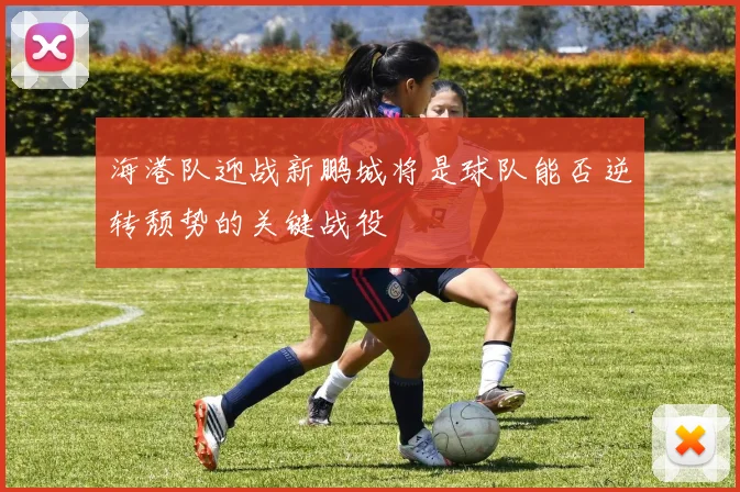 海港队迎战新鹏城将是球队能否逆转颓势的关键战役